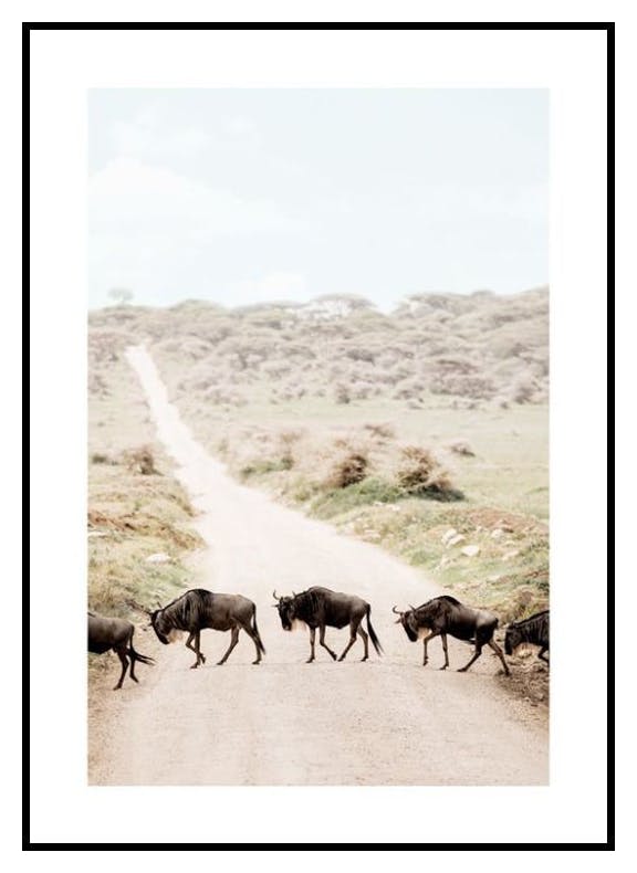 Crossing Wildebeests​ Poster (30x40 cm) - Poster Store