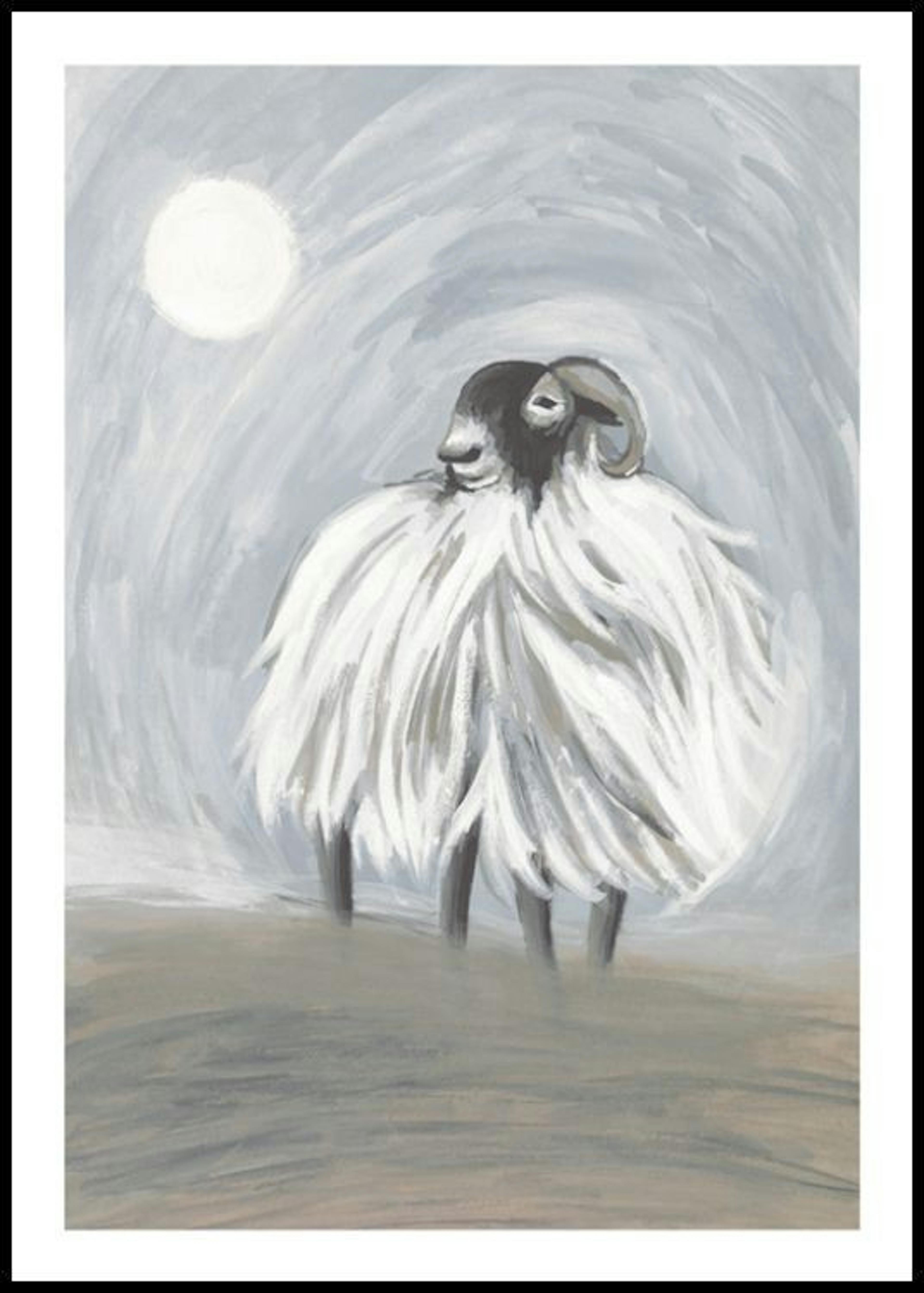 Highland Sheep in Moonlight Poster thumbnail