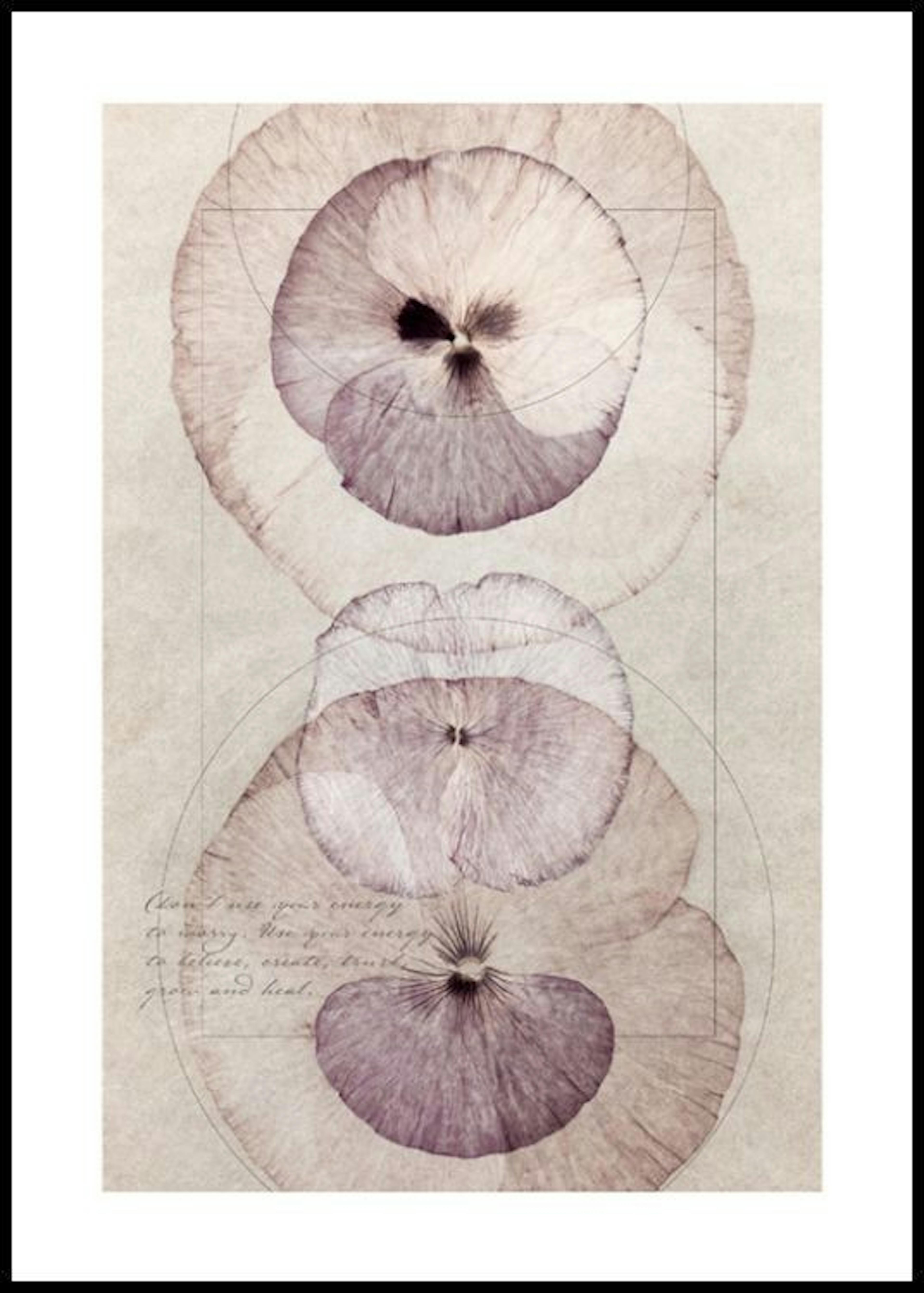 Flower Energy Poster thumbnail