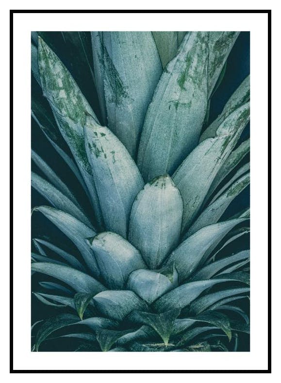 Couronne d'Ananas. Poster (13x18 cm) - Poster Store