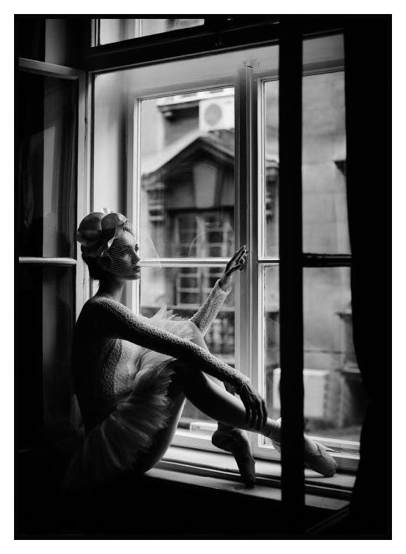 Ballerina Poster (21x30 cm) - Poster Store