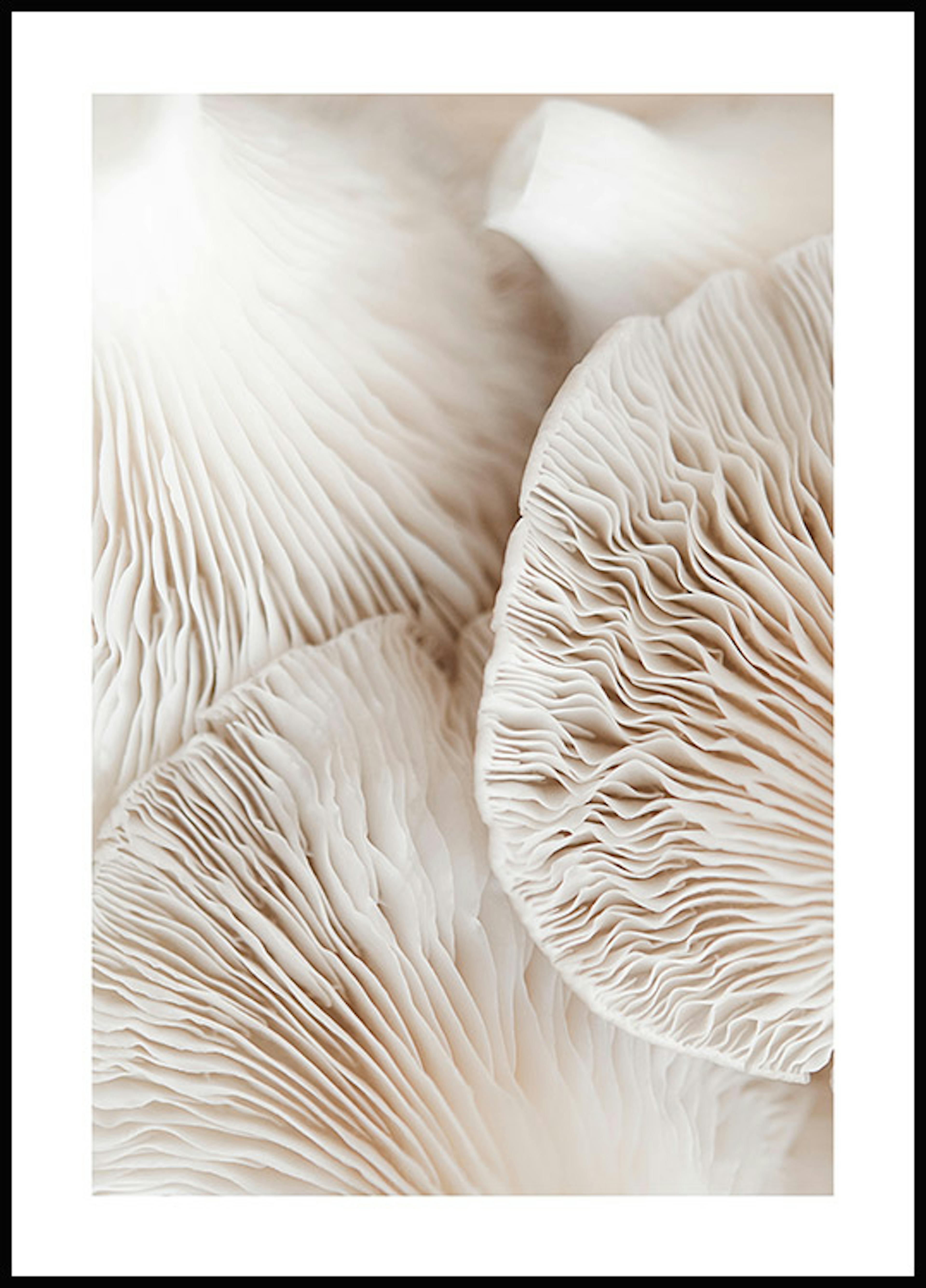 Mushroom Dream Poster 0