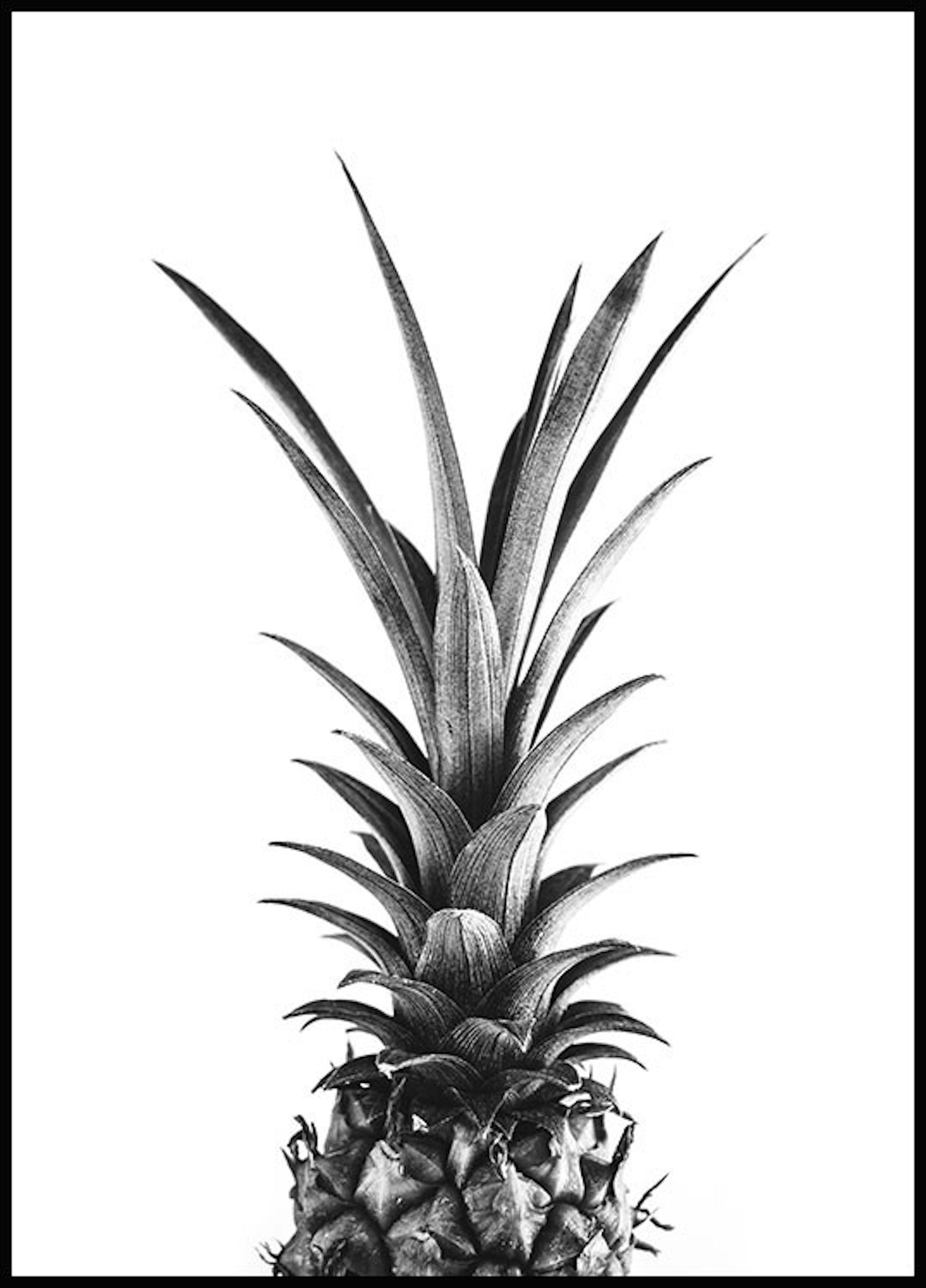 Pineapple Poster 0