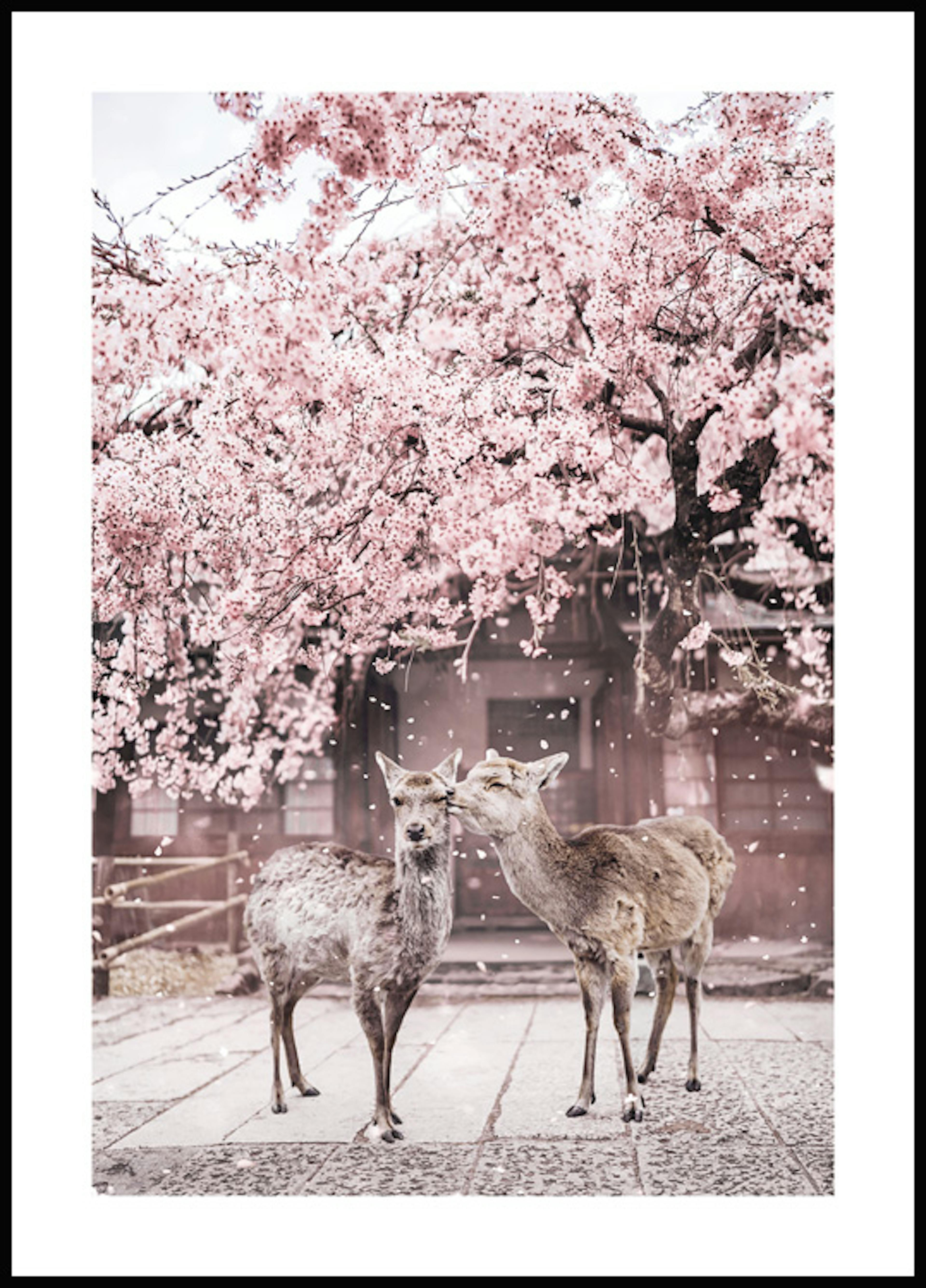벚꽃아래 사슴 포스터 0
