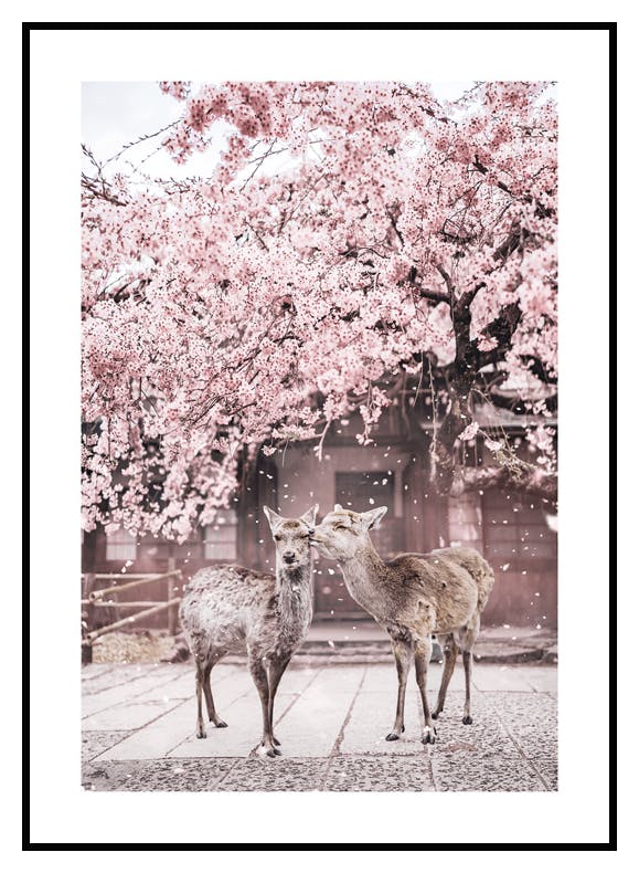 Forelskede Hjorte Plakat (30x40 cm) - Poster Store