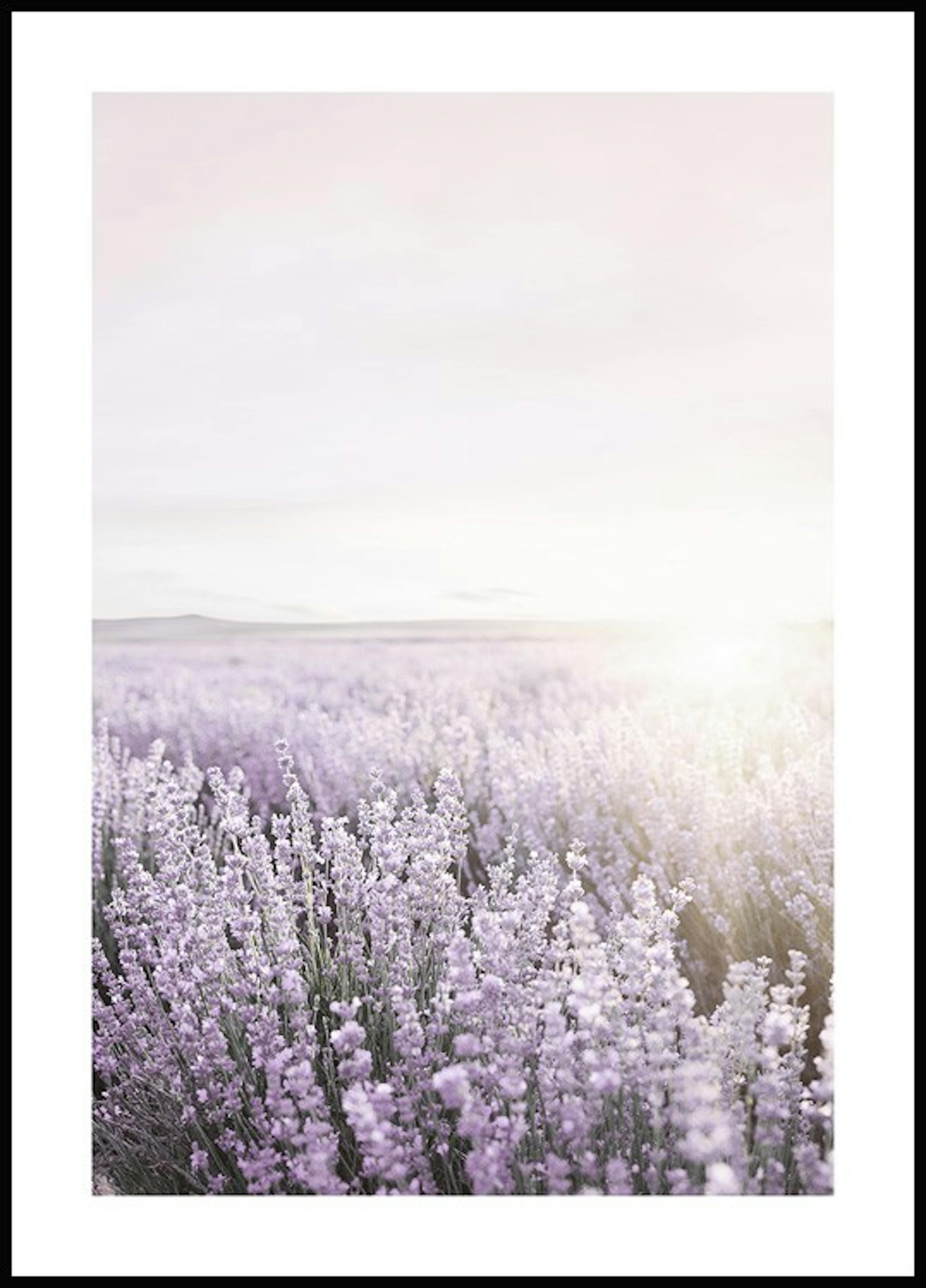 Purple Sunrise Poster 0