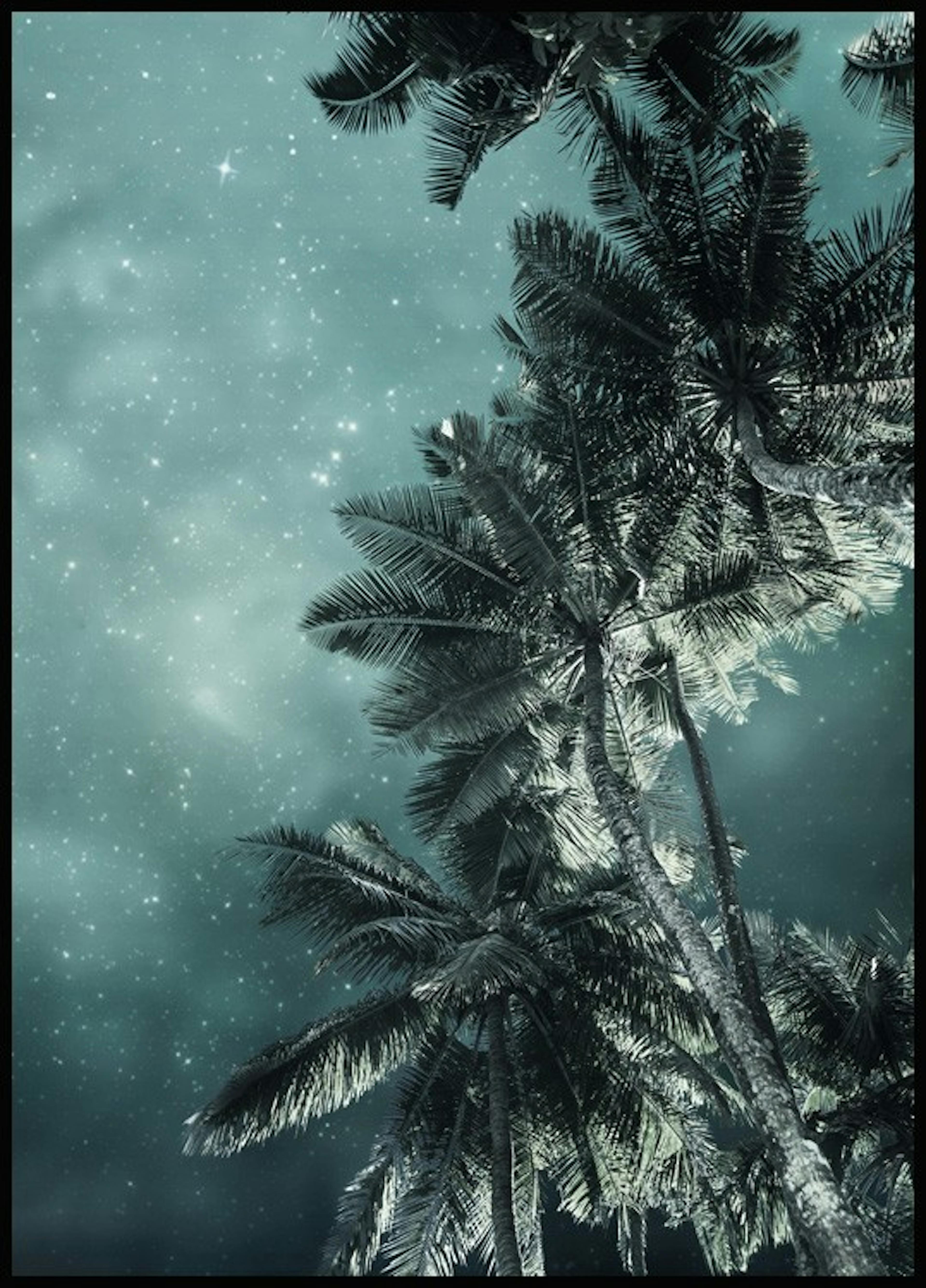 لوحة صورة أشجار النخيل تحت النجوم 0