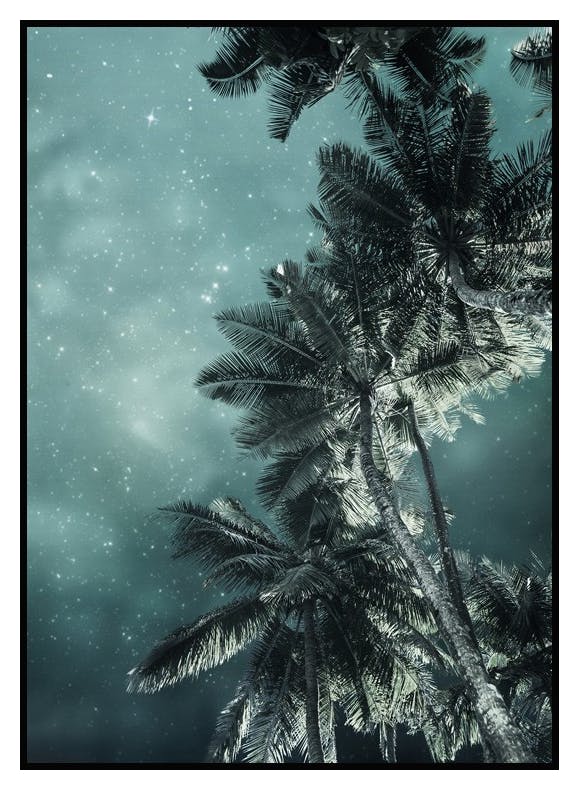 Plakat Palmy pod Gwiazdami (50x70 cm) - Poster Store
