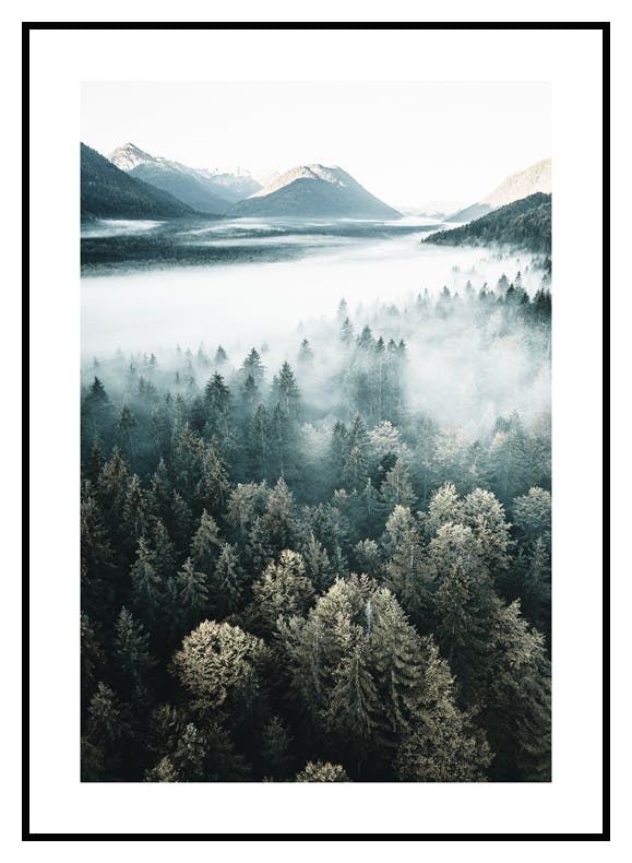 Forêt dans les Nuages Poster (50x70 cm) - Poster Store