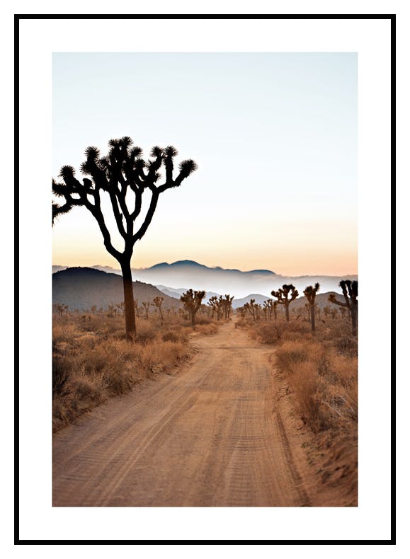 Driving to the Desert Poster (30x40 cm) - Poster Store