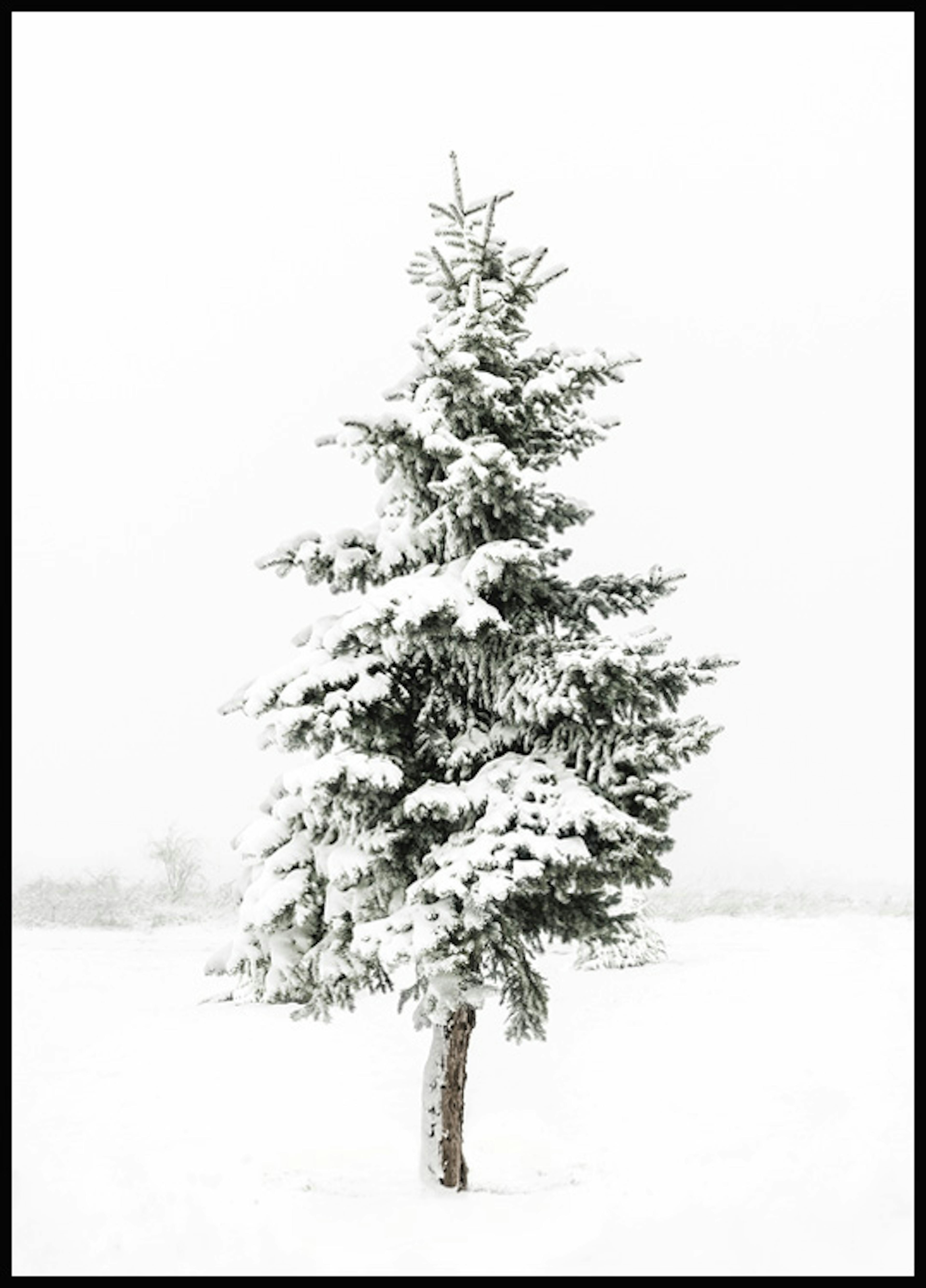 لوحة صورة شجرة مكثوة بالثلوج 0