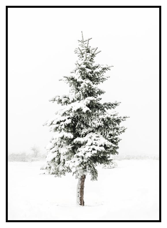 Snedækket Grantræ Plakat (21x30 cm) - Poster Store