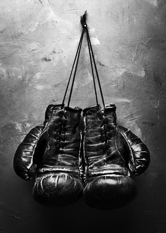 Boxerské rukavice Plakát 0