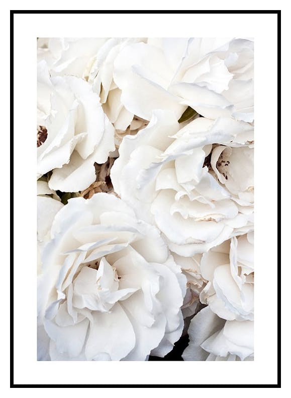 White Flowers Plakat (50x70 cm) - Poster Store