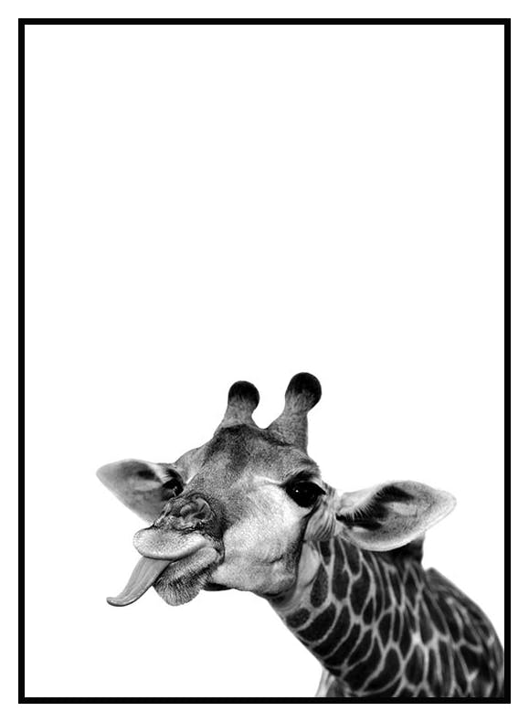 Funny Giraffe Poster (21x30 cm) - Poster Store