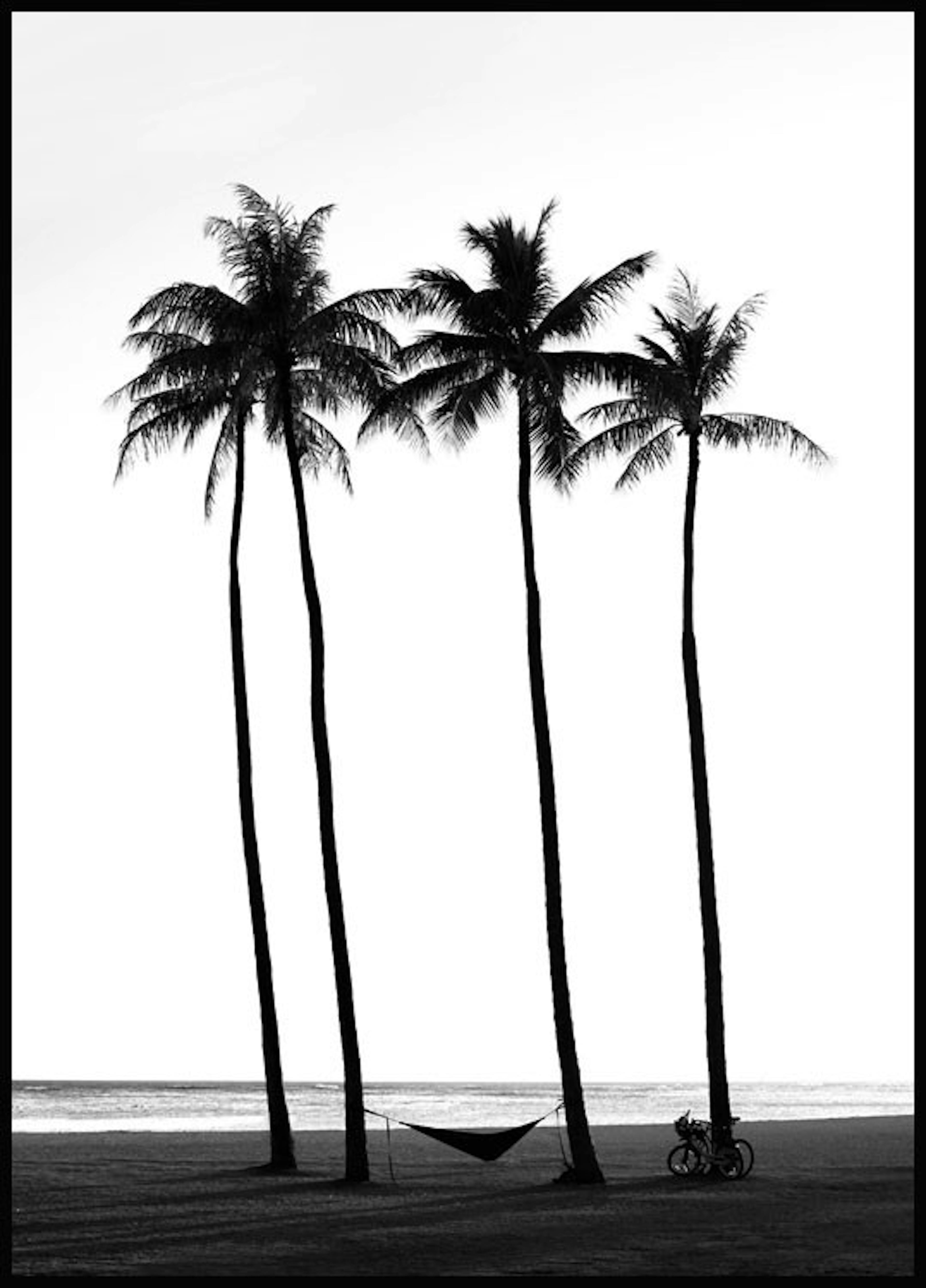 Beach Palm Trees Poster 0