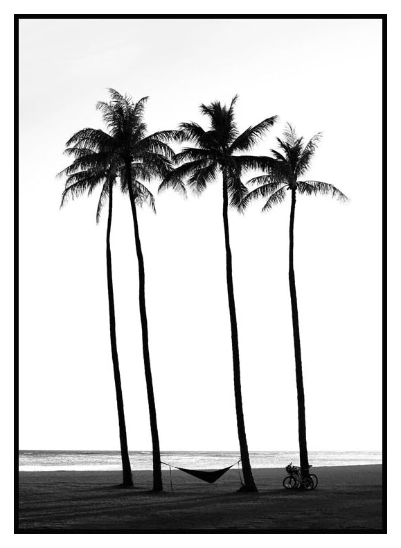 Beach Palm Trees Poster (30x40 cm) - Poster Store