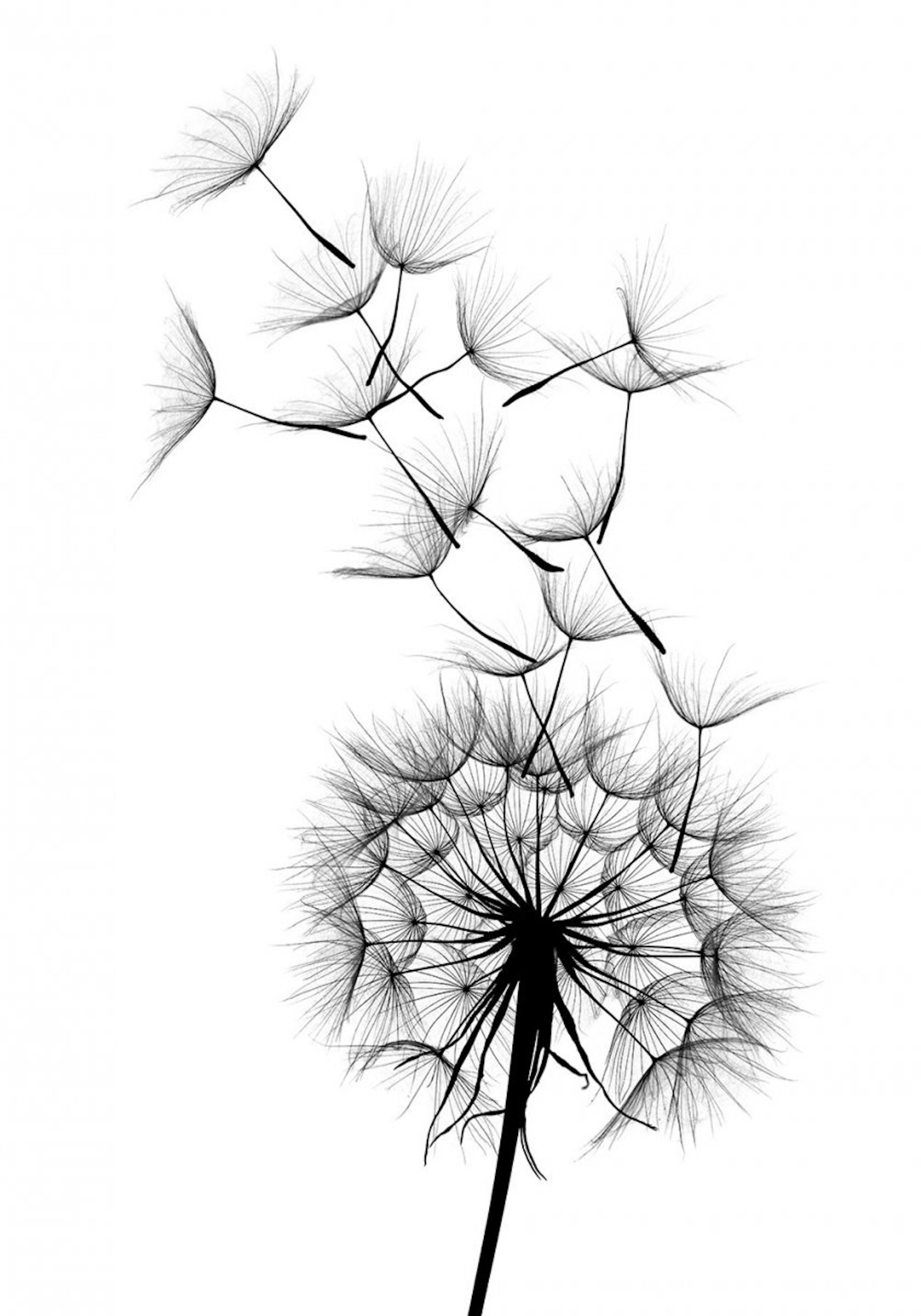 Dandelion wish Poster 0