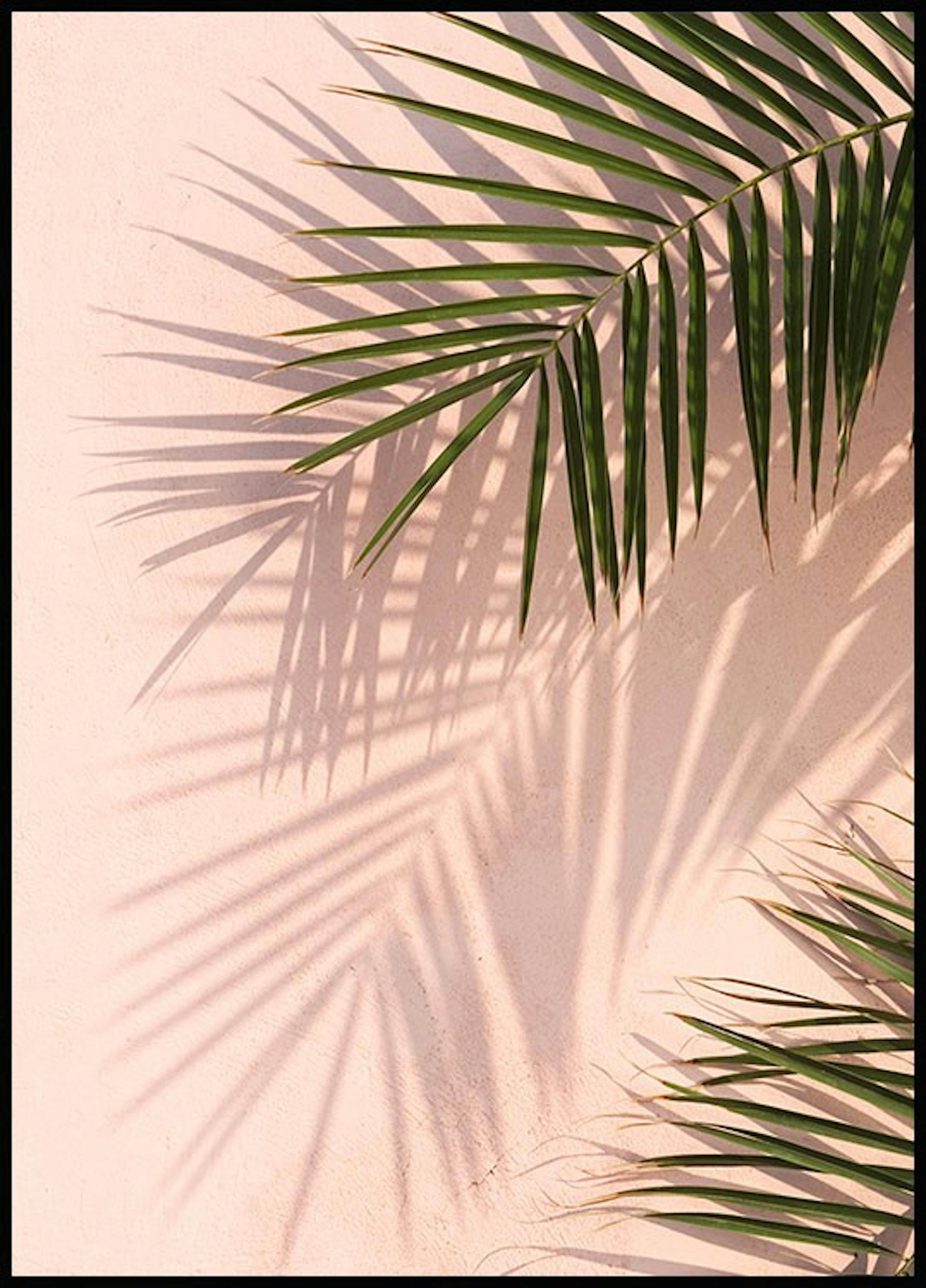 Pink Wall Palms Poster 0