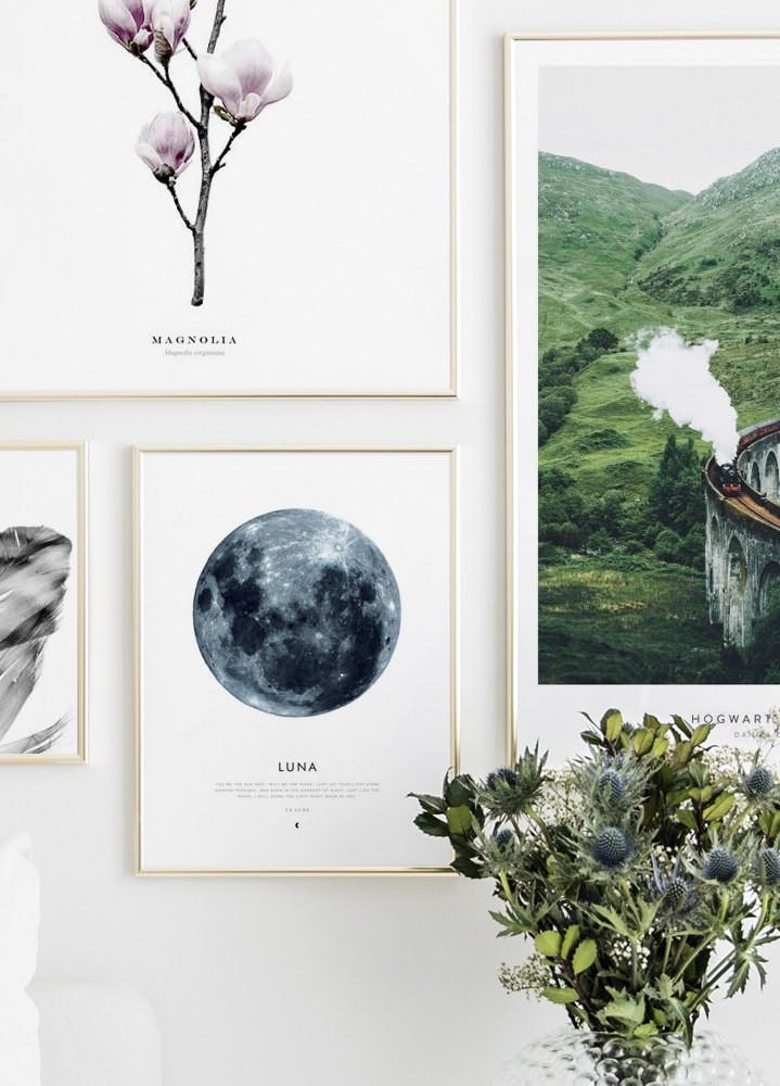 Moon Poster (40x50 cm) - Poster Store