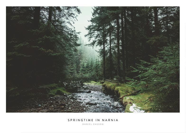 Springtime in Narnia. Poster 0
