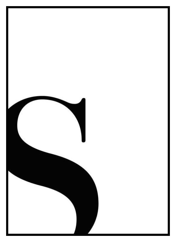 Lettre S Poster (30x40 cm) - Poster Store