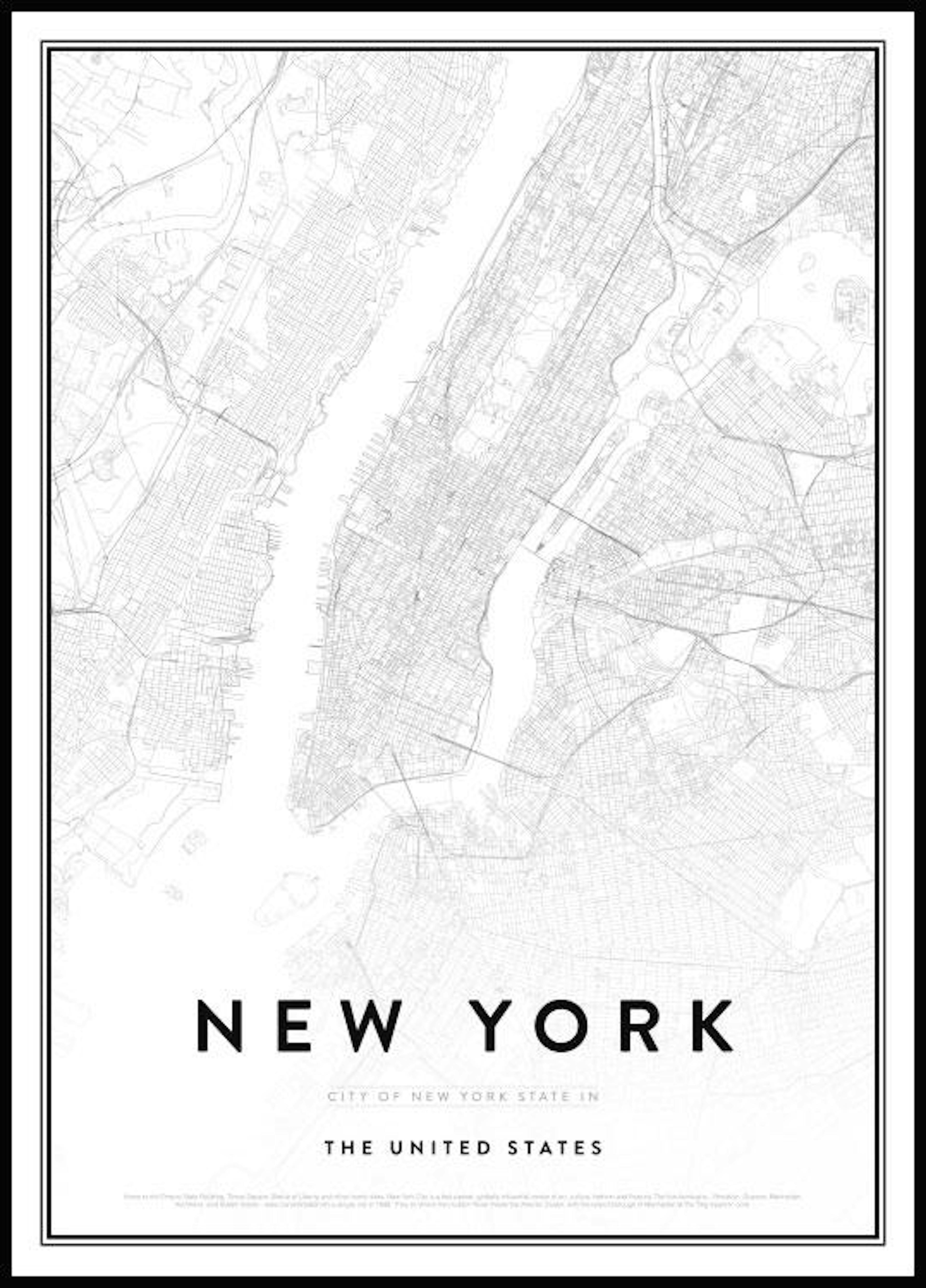 Mapa de Nueva York Póster 0