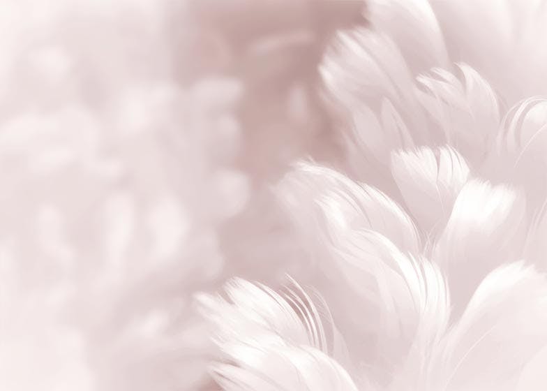Pink Feathers Poster 0
