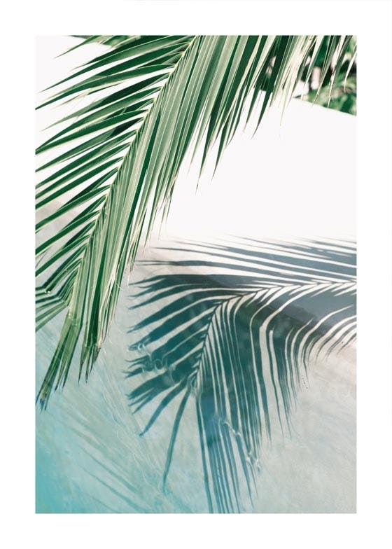Poolside Palm Leaf Plakat 0