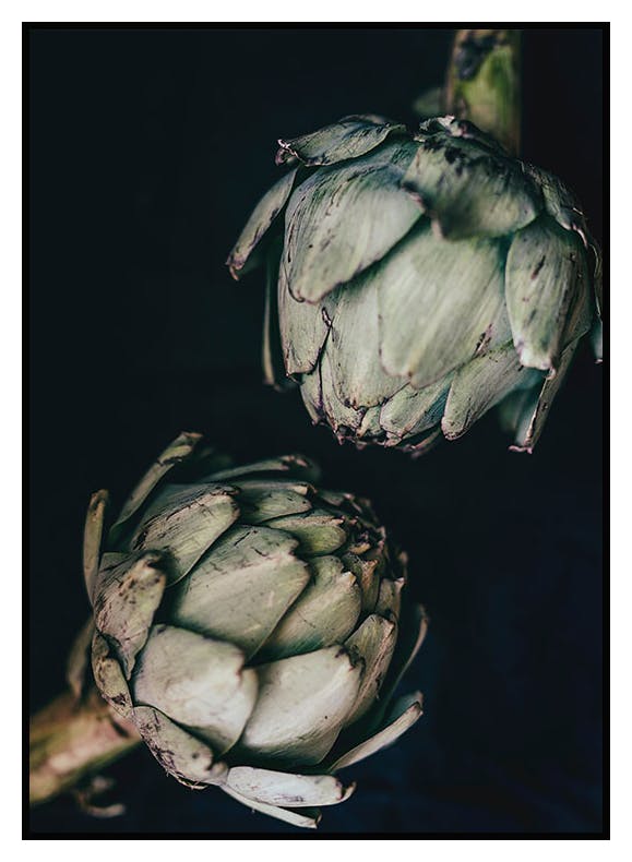 Artichokes Poster (30x40 cm) - Poster Store