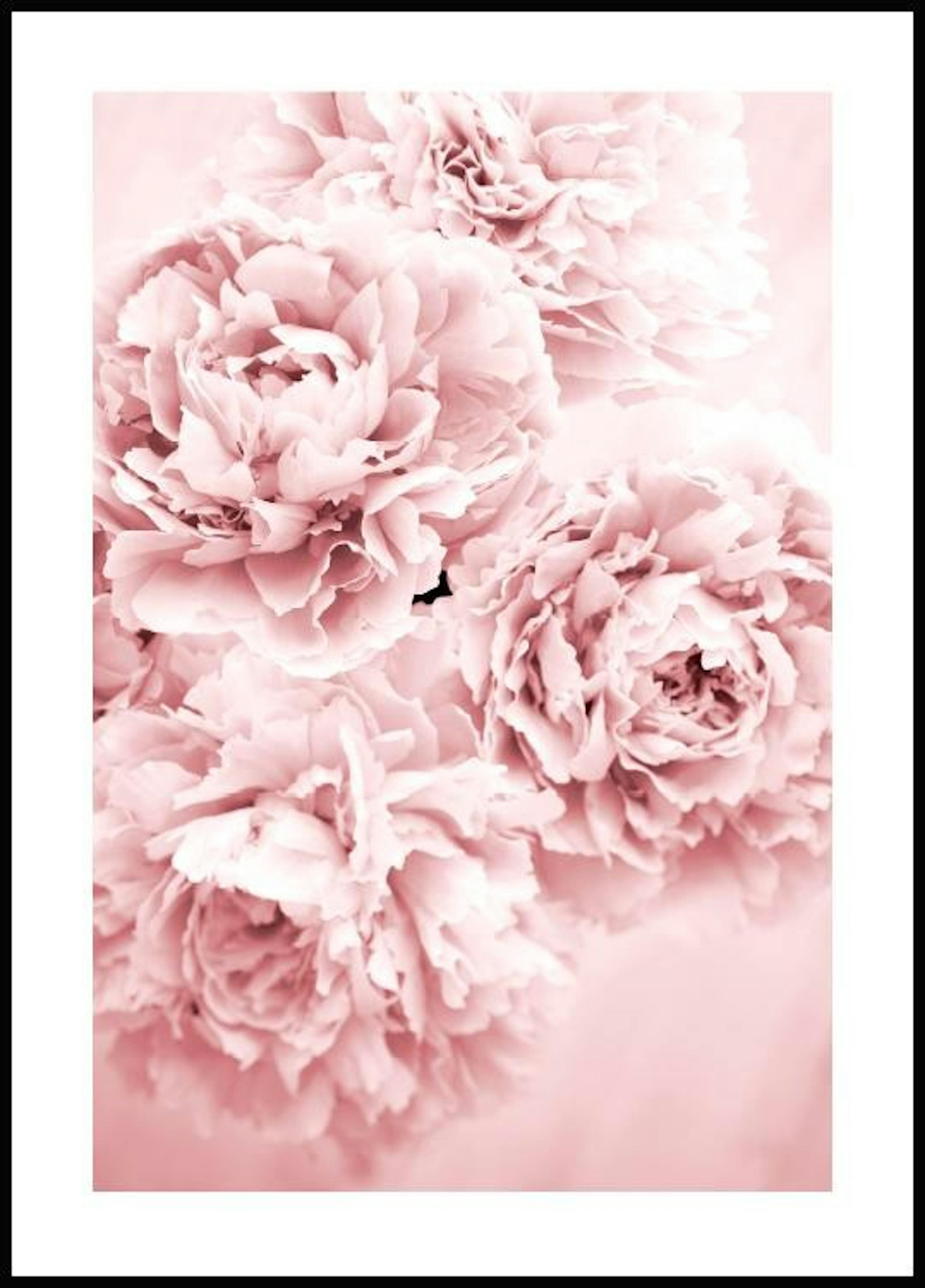 ピンクの牡丹の花束 ポスター 0