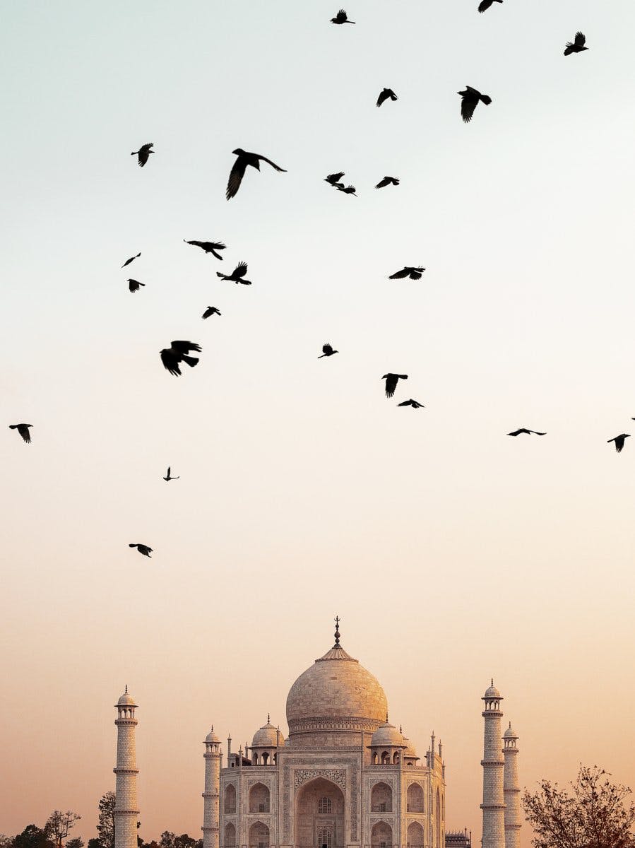 Coucher de soleil sur le Taj Mahal Poster 0
