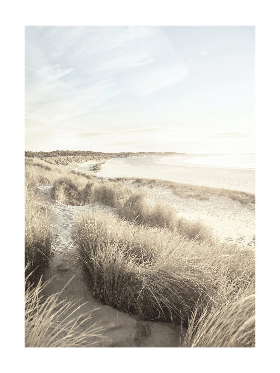 Beach Dune Grass Poster 0