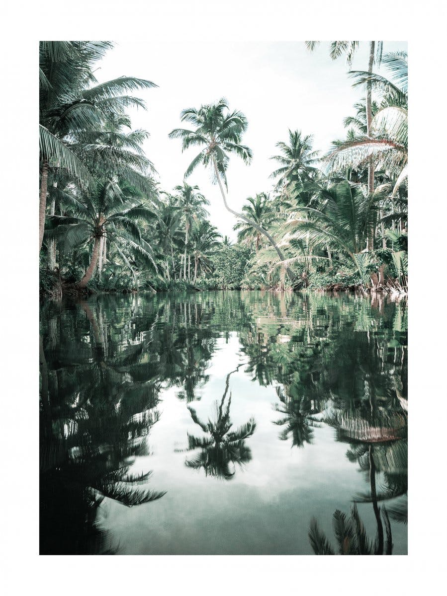 Palm Reflection Poster 0