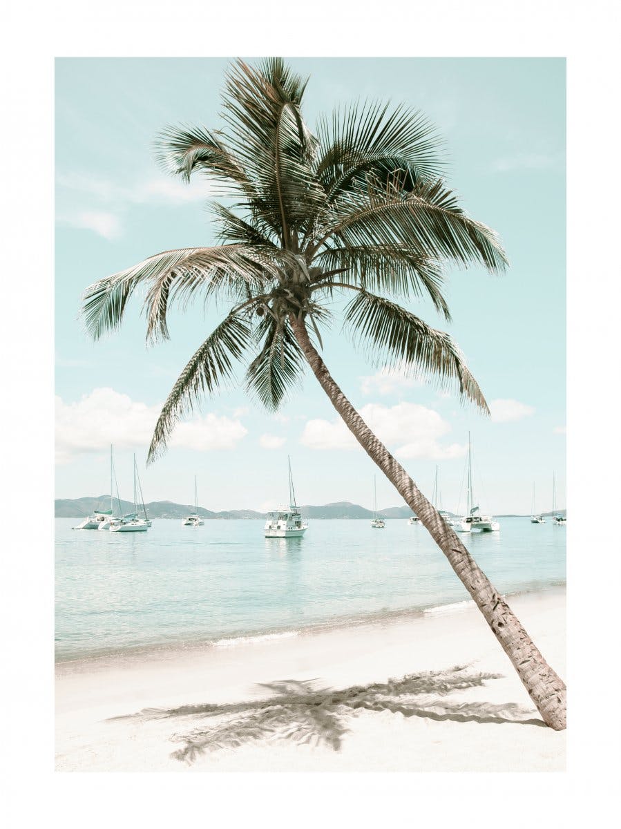 Karibi pálmafa poszter 0