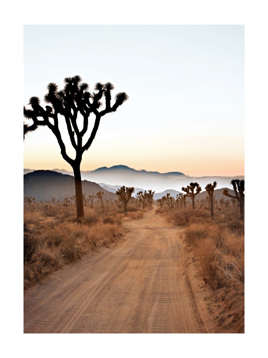 砂漠のドライブ ポスター 0