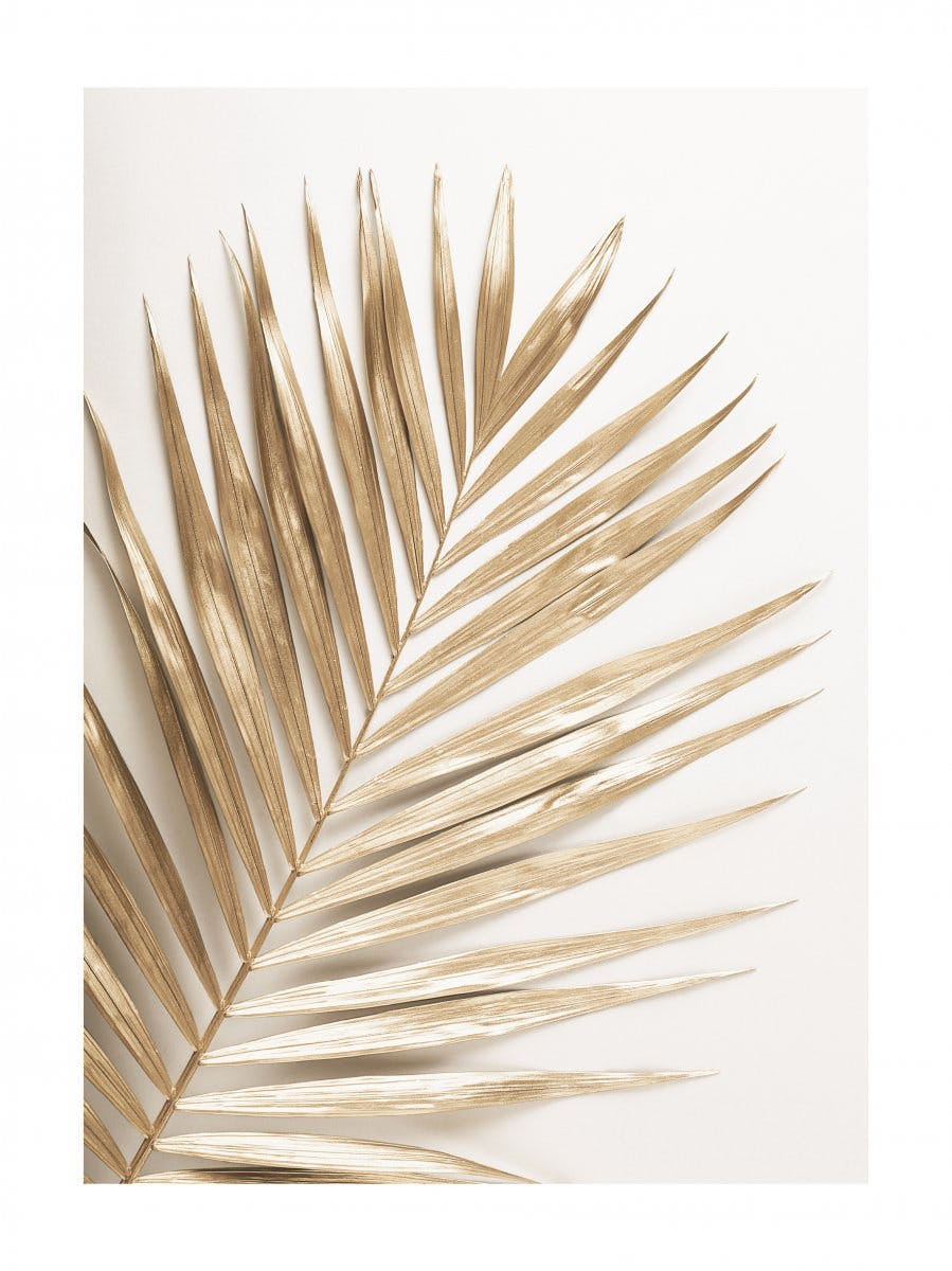 Gouden Palm Poster 0