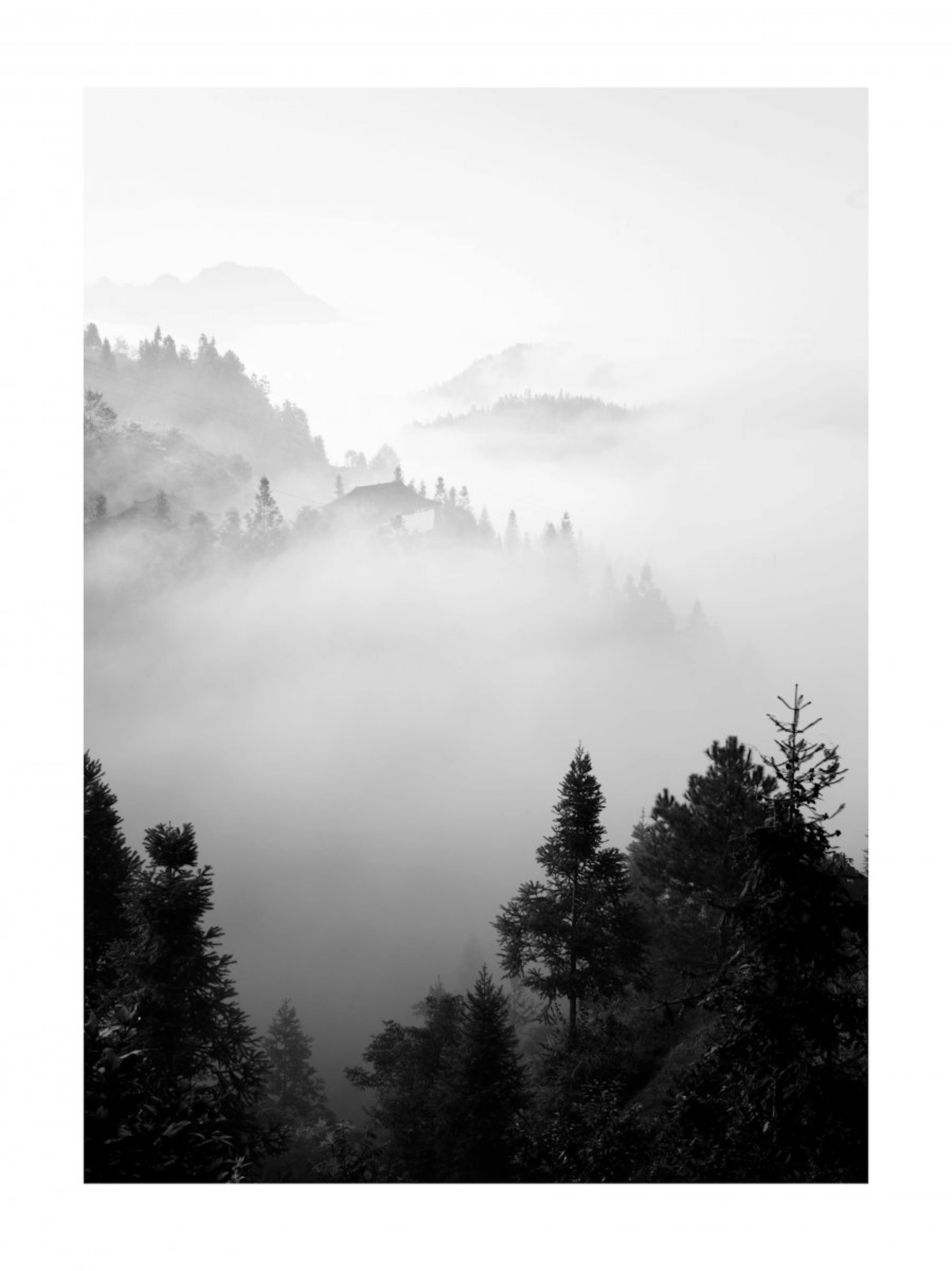 Morgondimman Poster 0