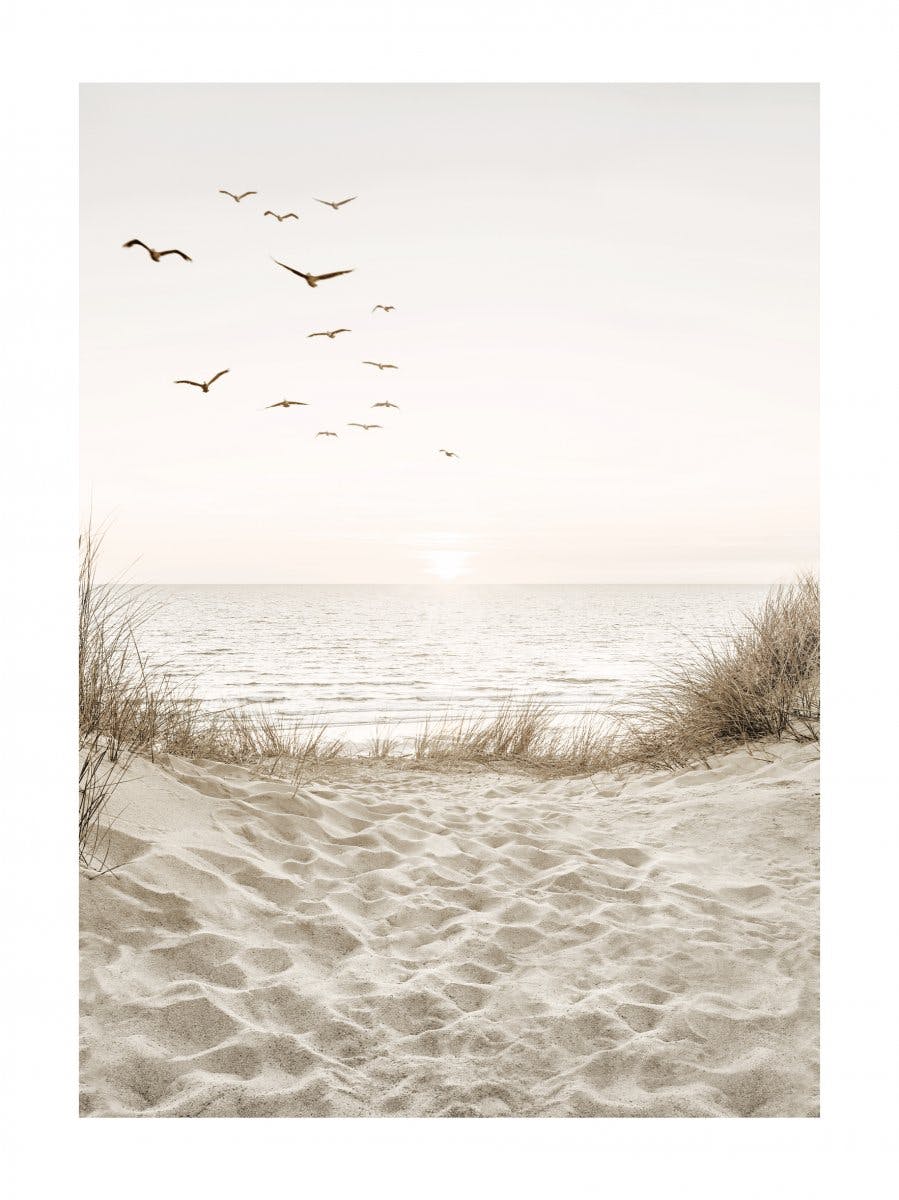 لوحة الطيور بجانب الشاطئ 0
