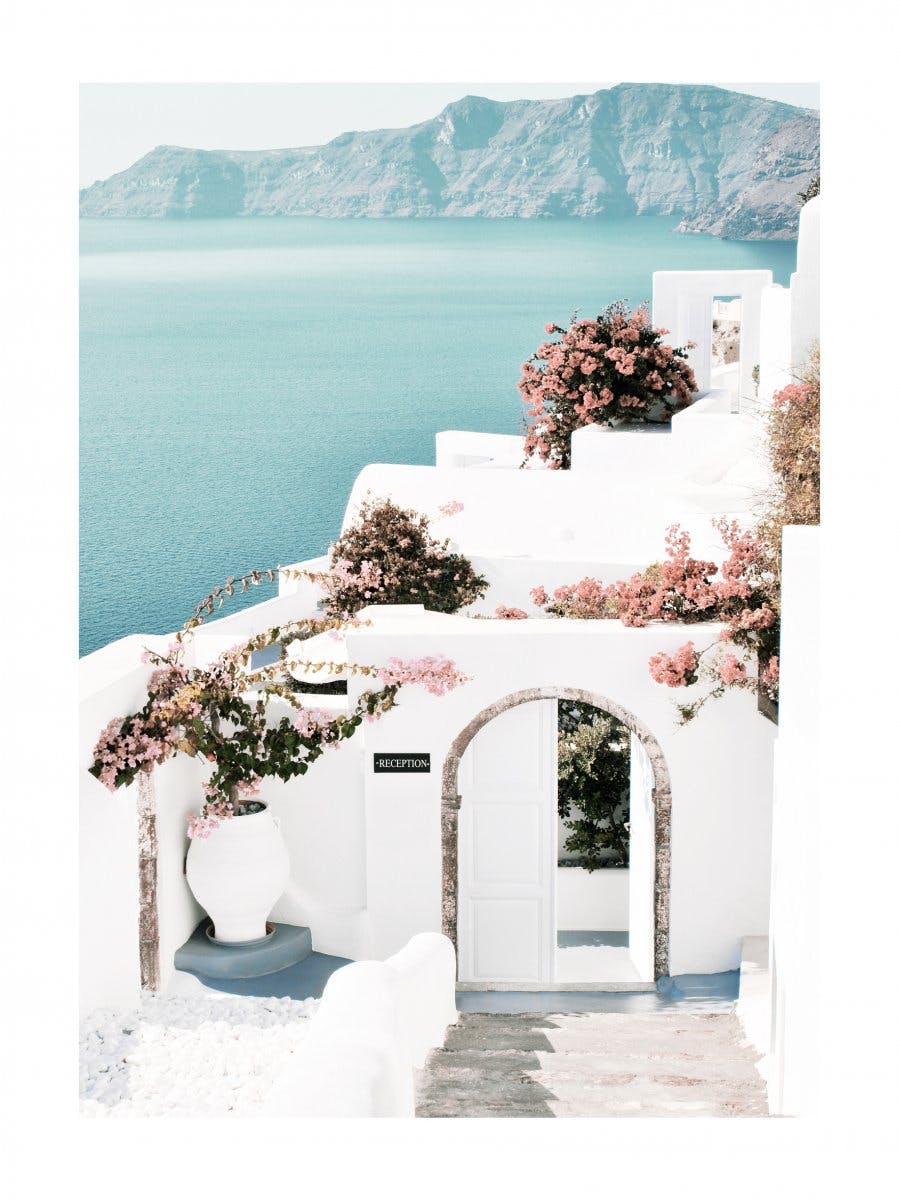 Santorini Blumen Poster 0