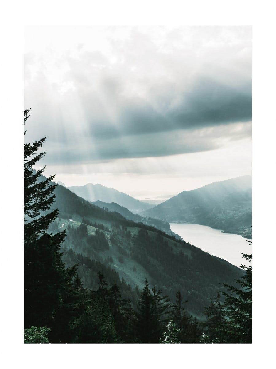 Swiss Alps at Sunrise Poster 0