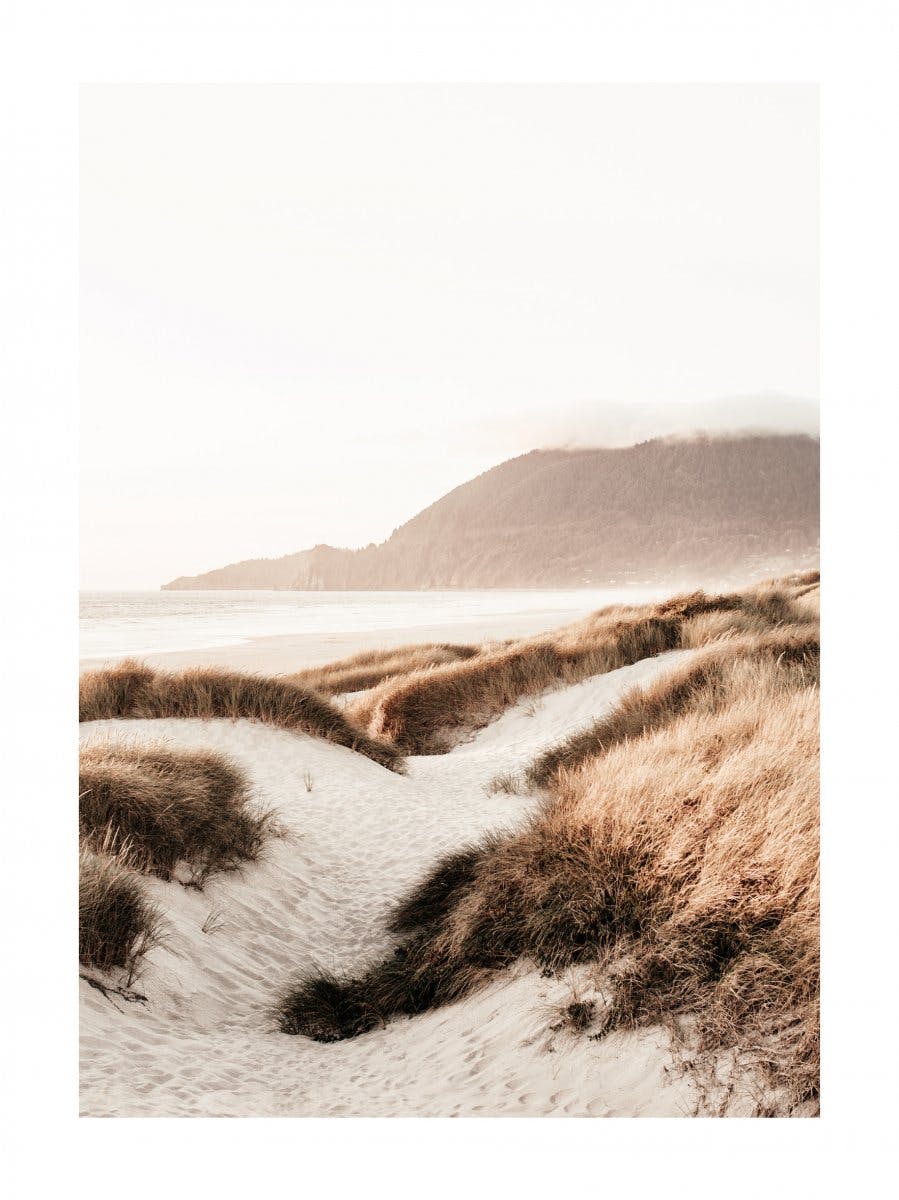 Spiaggia dune di sabbia Poster 0