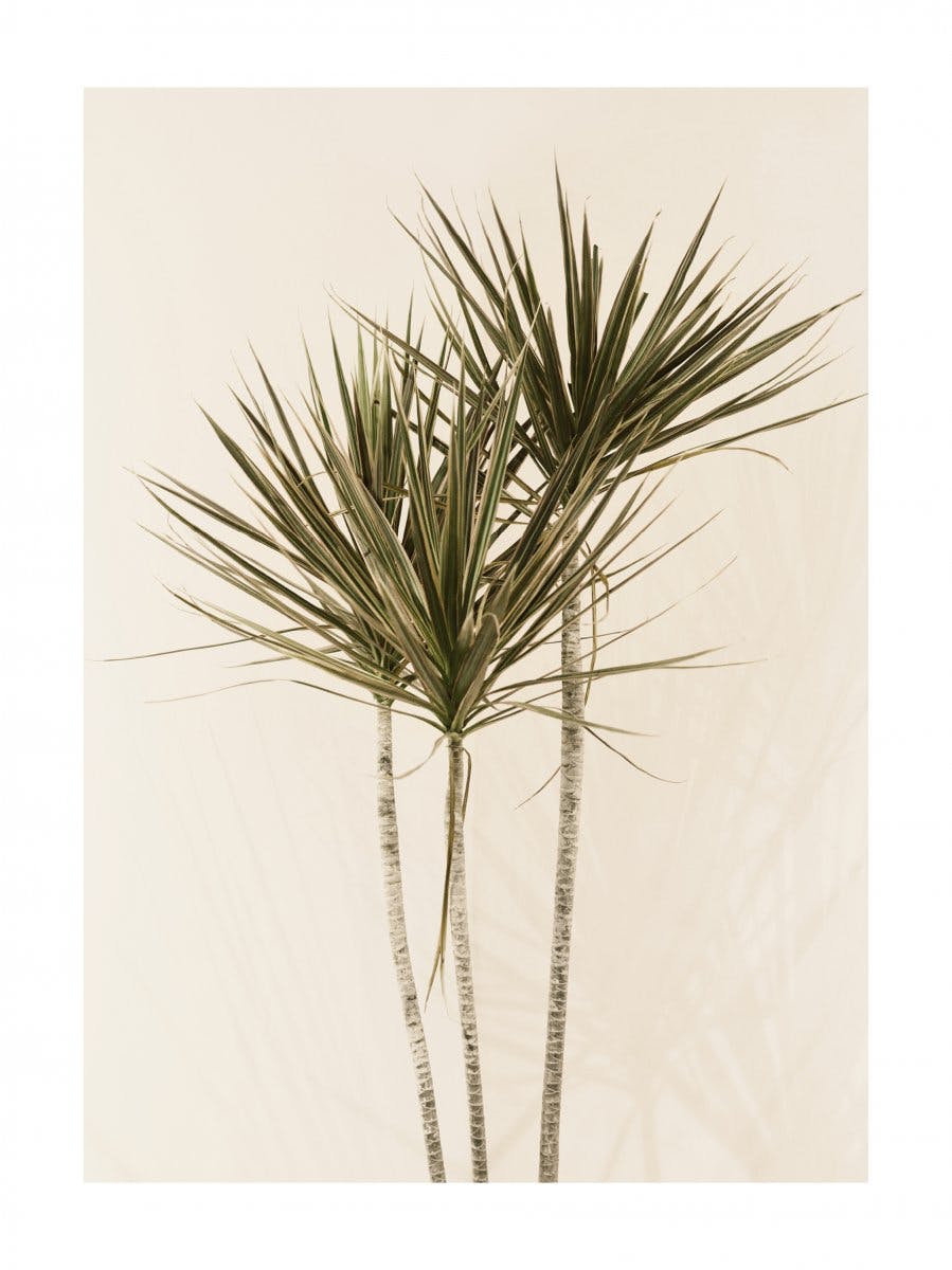 Beige Wall Palms Poster 0