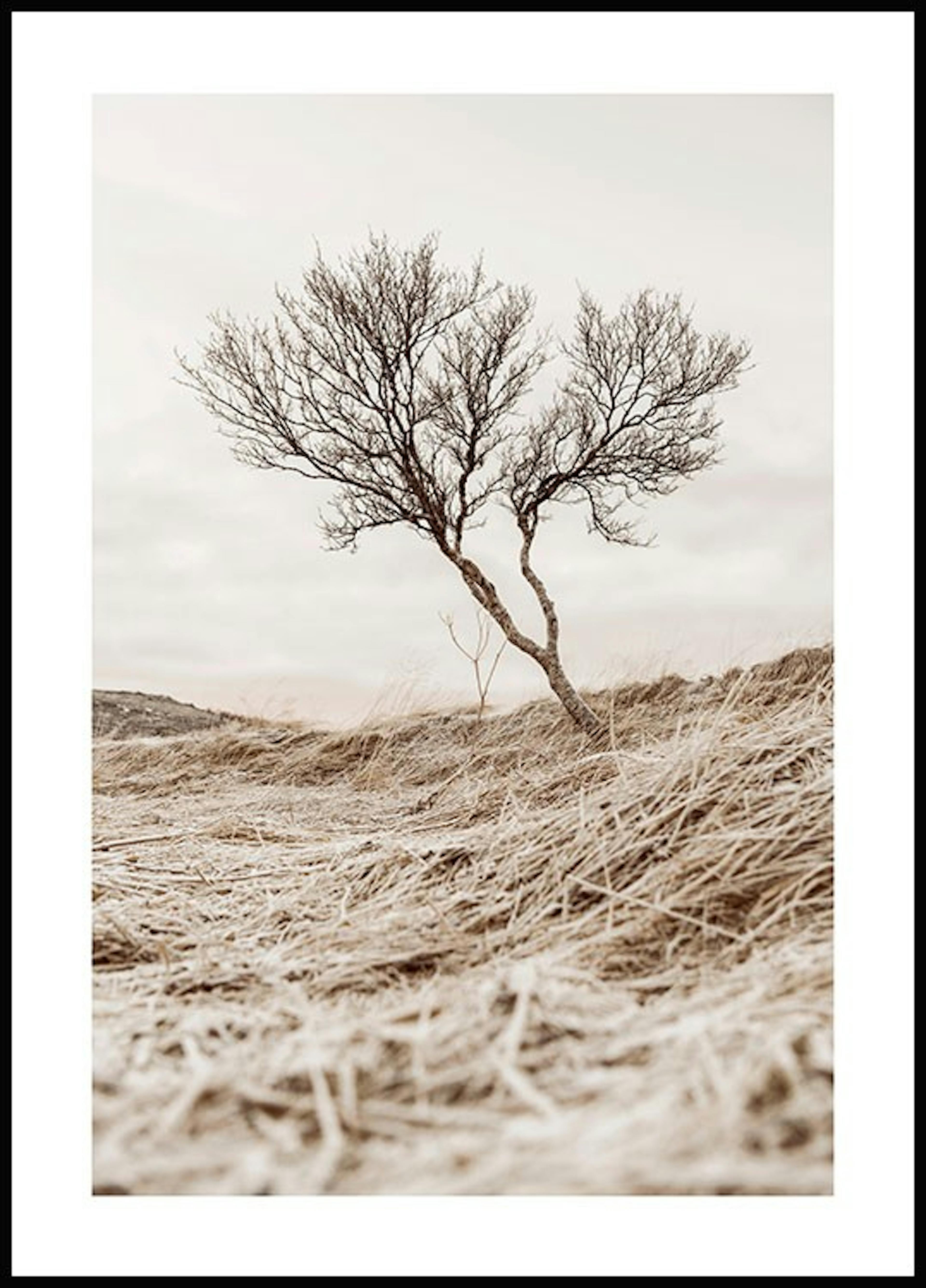 木と枯れ草 ポスター 0