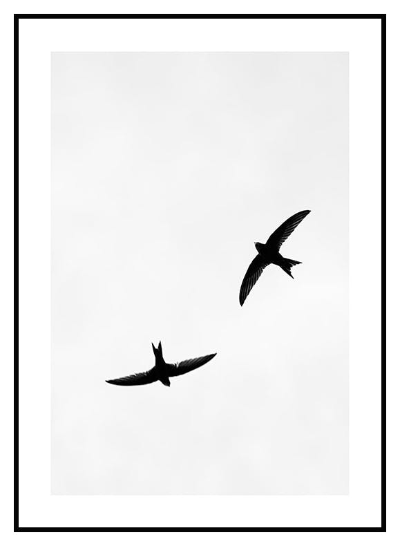 Plakat Ptaki na Niebie (21x30 cm) - Poster Store