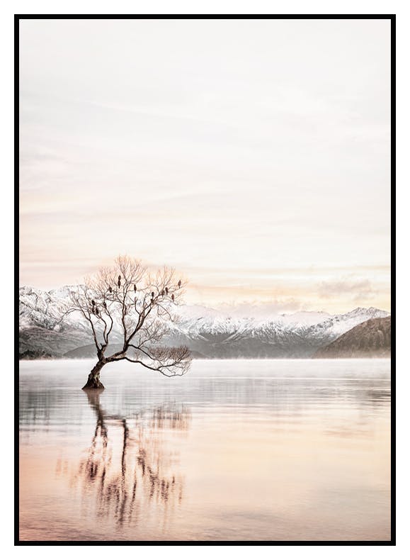 Lake Mirror Poster (30x40 cm) - Poster Store