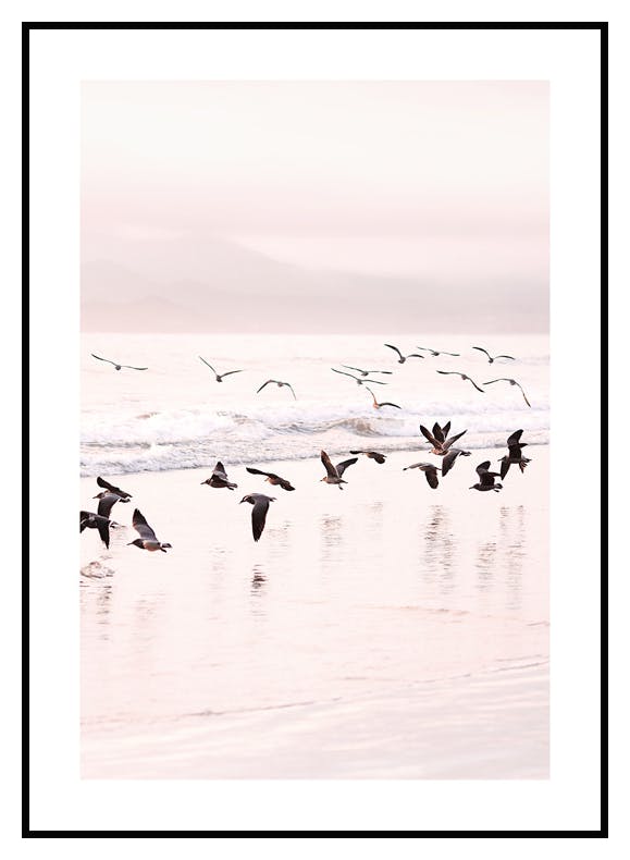 Calm Birds Poster (21x30 cm) - Poster Store