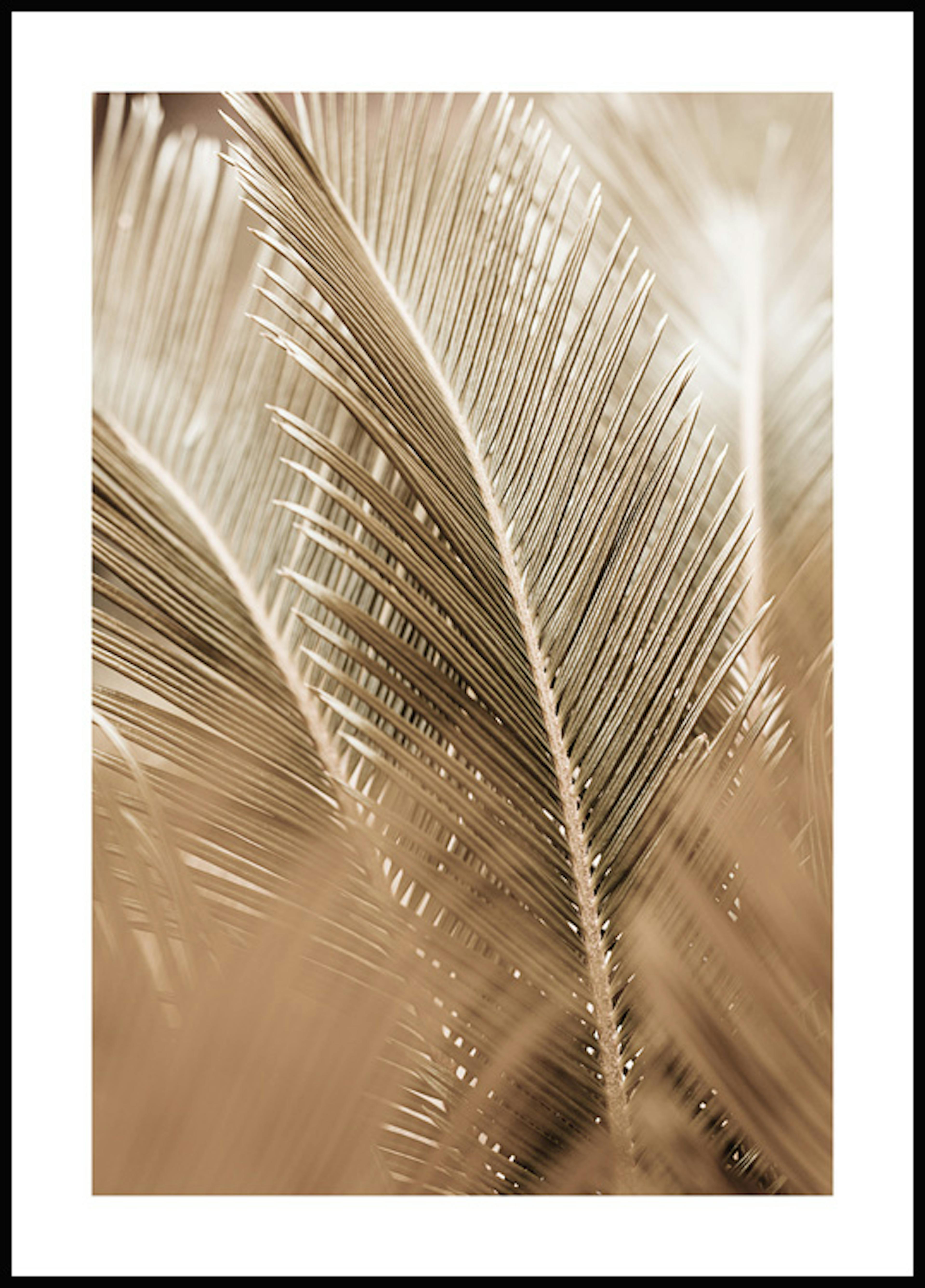 Golden Palm Leaves Poster 0