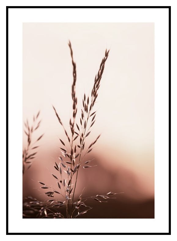Plakat Łąka o Zachodzie Słońca (30x40 cm) - Poster Store