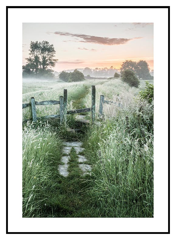 Summer Sunrise Poster (30x40 cm) - Poster Store